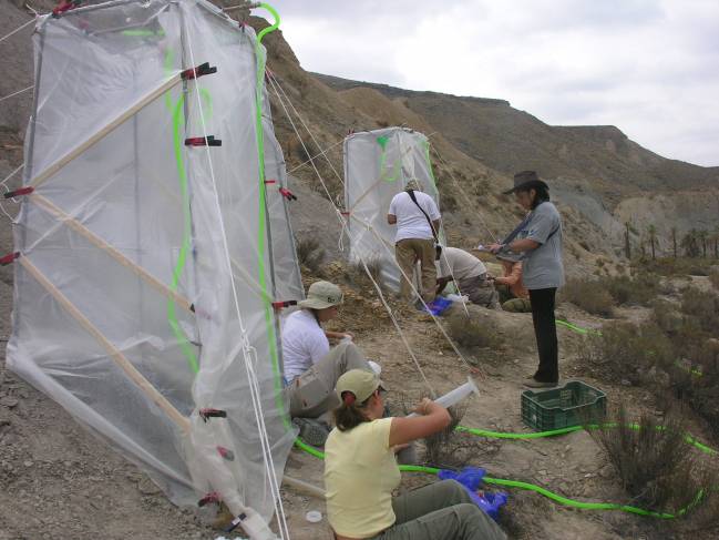El equipo de investigación de la Universidad de Almería durante un experimento de lluvia artificial sobre costras /Fundación Descubre