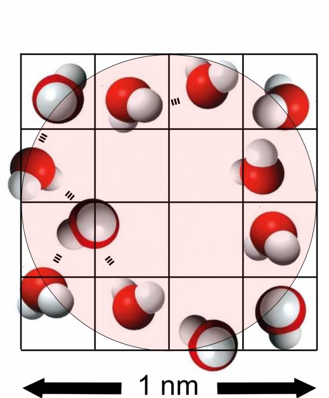 una posible disposición de 12 moléculas de agua y sus enlaces por puente de hidrógeno en la zona cooperativa de 1 nm.