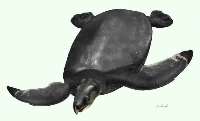 Recreación artística de la nueva especie Leviathanochelys aenigmatica, "la tortuga leviatán enigmática" encontrada en los Pirineos