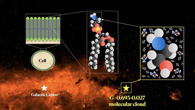 Descubierta etanolamina en una nube molecular de la Vía Láctea