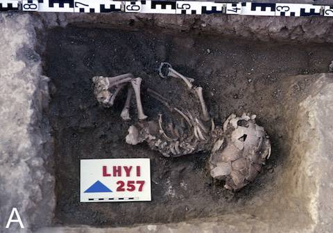 Restos óseos humanos de un bebé encontrados en el poblado de La Hoya