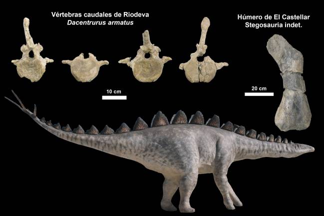 estegosaurio