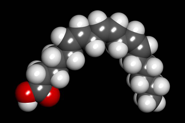 Imagen por ordenador de un ácido gamma-linolénico