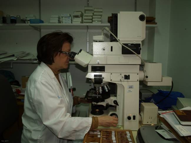 El Hospital Universitario de Salamanca determina biomarcadores para mejorar los tratamientos en el tipo de cáncer que más muertes causa en el mundo occidental