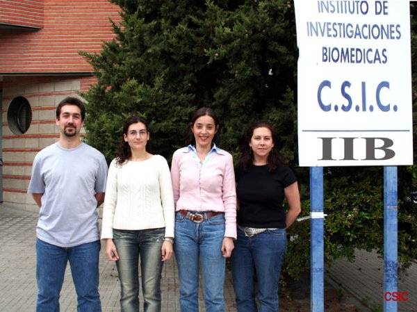 De izquierda a derecha, los investigadores Jesús Revuelta, Soledad Miranda, Ángela Martínez y Agueda González-Rodríguez./ CSIC 
