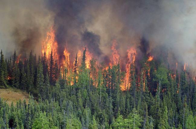 Incendio forestal en un bosque boreal de Alaska