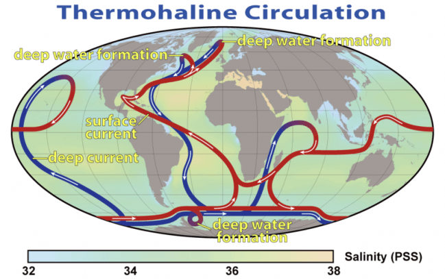 Esquema de las corrientes de circulación termohalina/ Gran transportador Oceánico. Los surcos azules representan corrientes profundas, mientras que los surcos rojos representan corrientes superficiales.