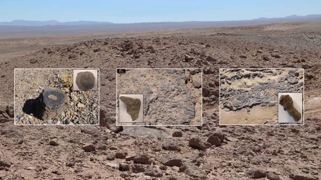 Afloramientos de carbonatos marinos del Triásico-Jurásico en el desierto de Atacama