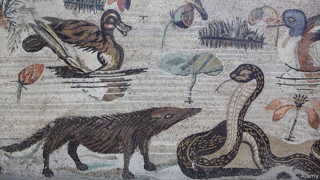 Mosaico en el que aparece representado un meloncillo procedente de la Casa del Fauno (Pompeya).