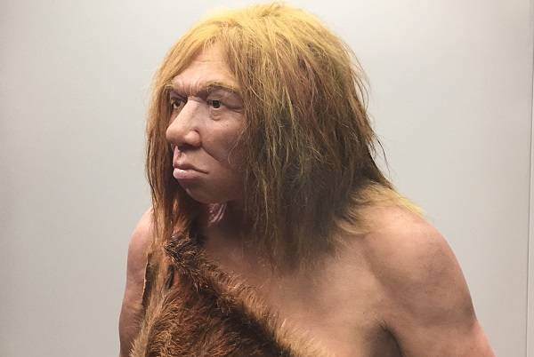 Recreación de una mujer neandertal en el Museo Arqueológico de Asturias. / UCM.