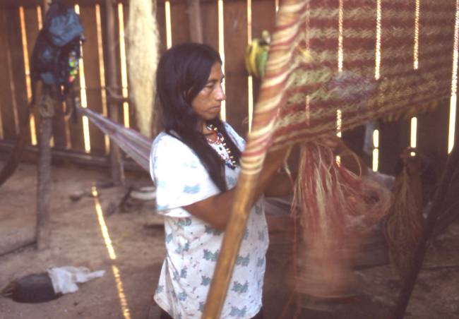 Mujer huaorani de la Amazonia de Ecuador elaborando una hamaca a partir de fibra de la palmera chambira