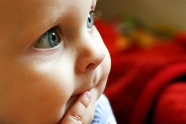 Según el estudio, los niños poseen desde los cinco meses una forma de consciencia similar a la de los adultos.