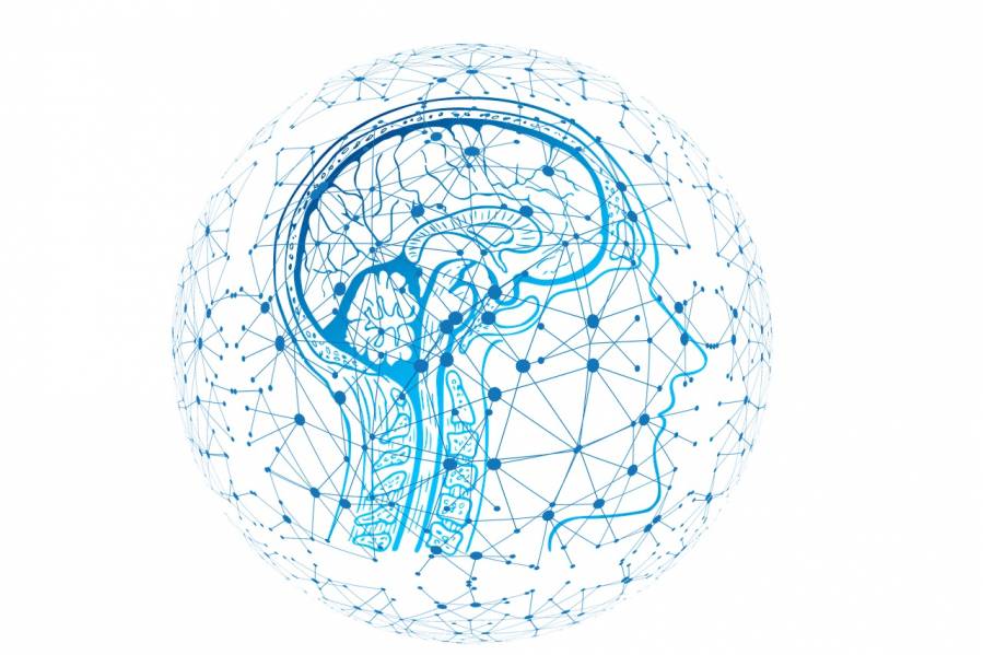 ilustración de una red neuronal en el cerebro