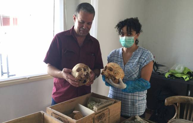 Dos arqueólogos sujetan cráneos