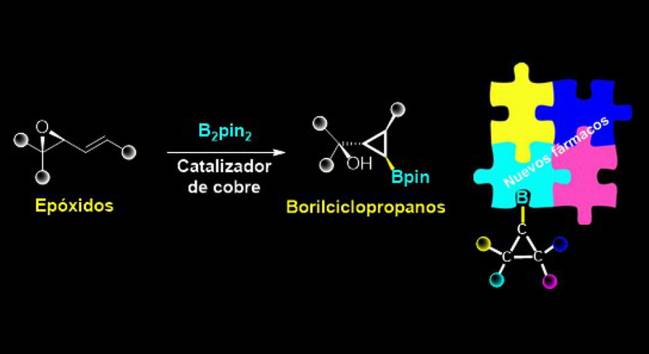 método para la preparación de ciclopropanos, moléculas rígidas y triangulares de gran interés en la industria farmacéutica