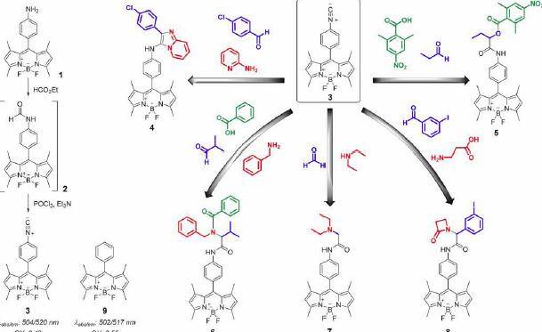 Los autores han generado un isonitrilo fluorescente de perfil multiuso capaz de dar lugar a un elevado número de compuestos fluorescentes de diferentes características estructurales.