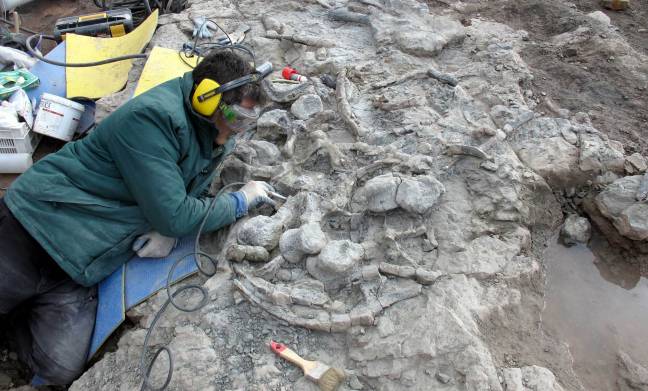 Paleontólogos escavanado 