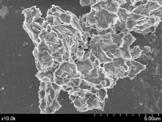 Imagen por microscopia del plaguicida encapsulado en un complejo de liposomas y arcilla.