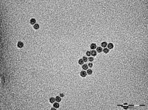 Nanopartículas recubiertas de hierro/magnetita