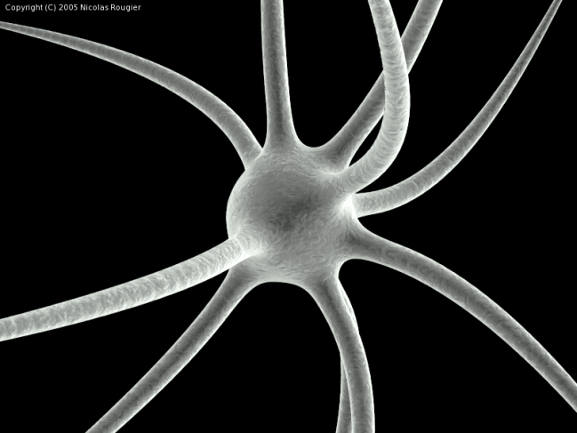 Infografía de una neurona. Imagen: Wikipedia  