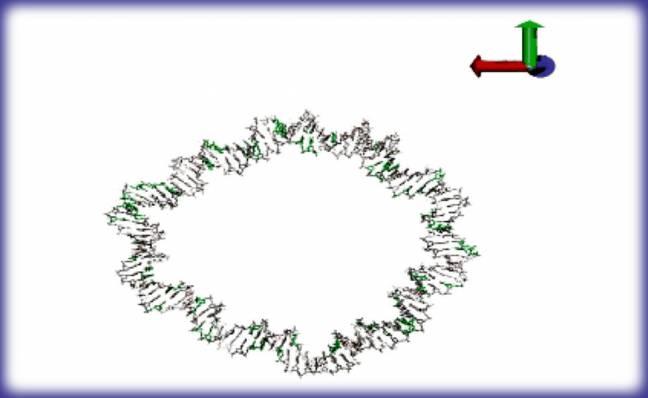 Simulación de mini-plásmido (ADN circular)