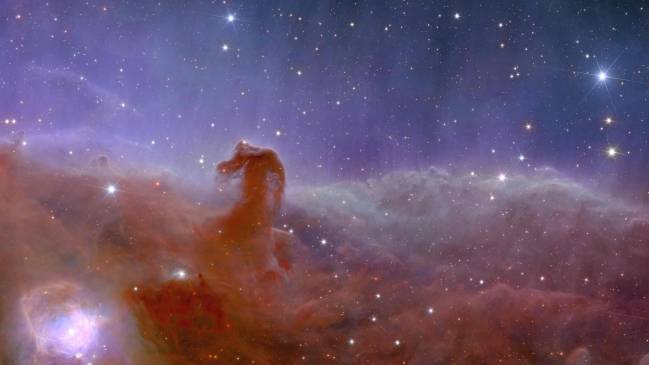 La nebulosa Cabeza de Caballo captada por la misión Euclid