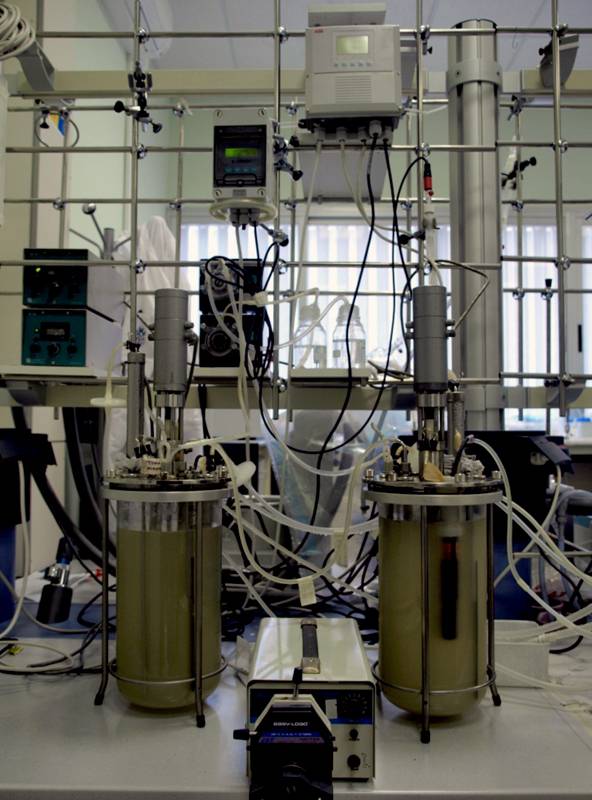 Estos científicos de la Universidad de Cádiz han decidido usar la glicerina como fuente de carbono.