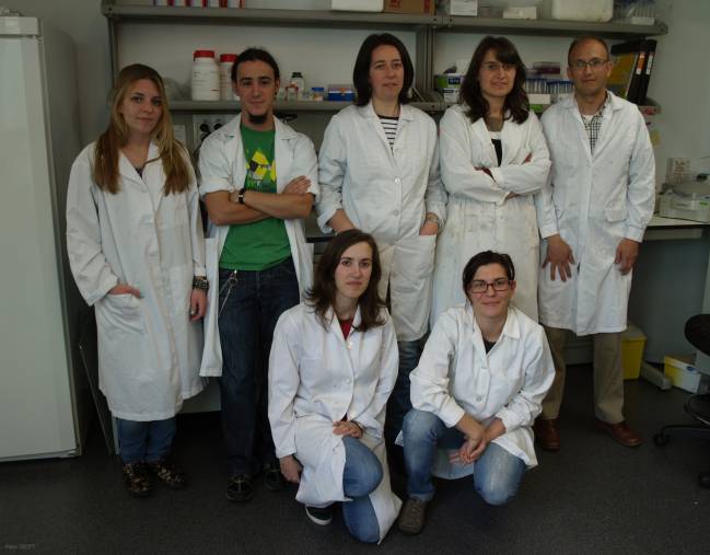 Científicos del Instituto de Neurociencias de Castilla y León (INCYL) han comprobado en ratones el papel de ciertas proteínas en la modulación del dolor