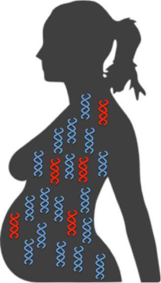 Ilustración del perfil de una embarazada con secuencias de ADN en su barriga