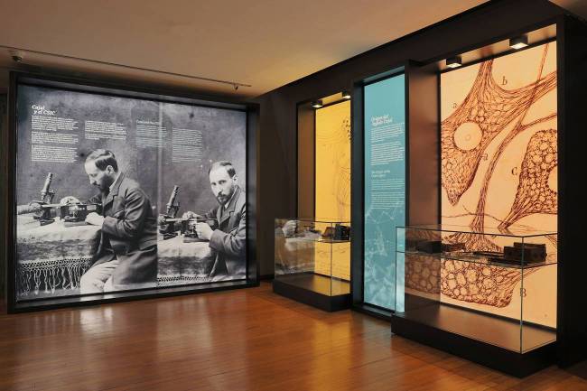 Muestra El legado histórido de Ramón y Cajal