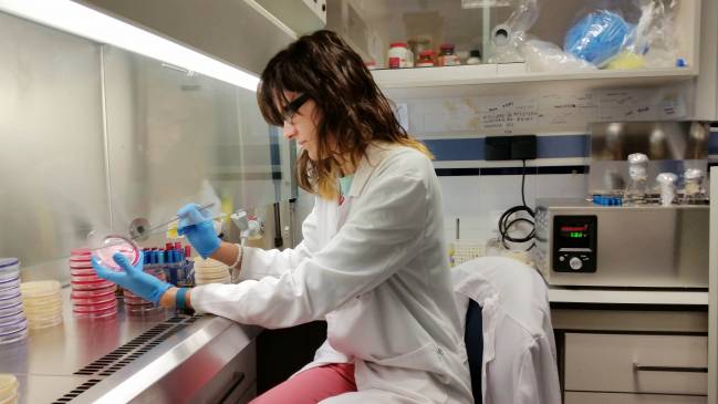 Investigadora del grupo Microbiología de los Alimentos y del Medio Ambiente de la Universidad de Jaén / Fundación Descubre