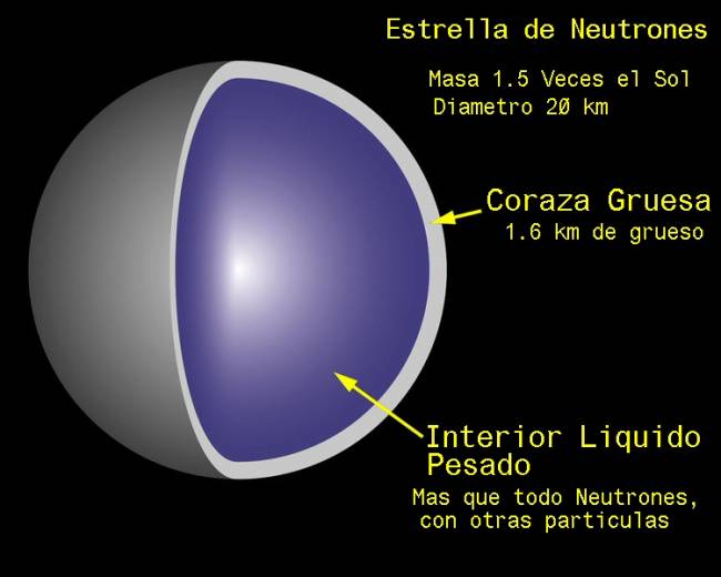Estructura de una estrella de neutrones. Imagen: Wikipedia