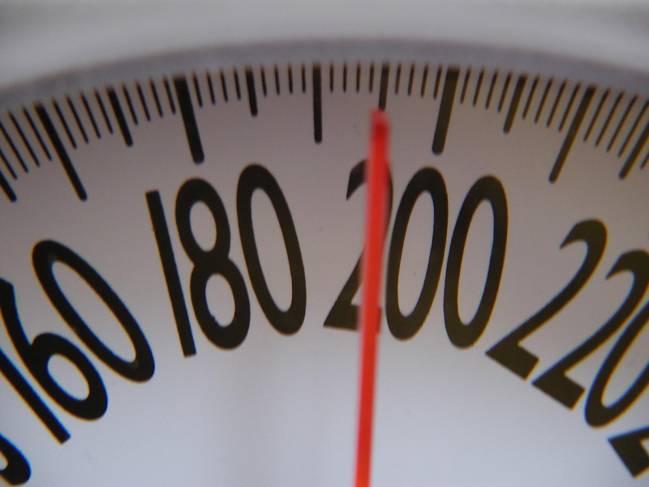 Los investigadores esperan poder probar la herramienta en muestras de pacientes reales, con obesidad o anorexia. / Mrd00man.