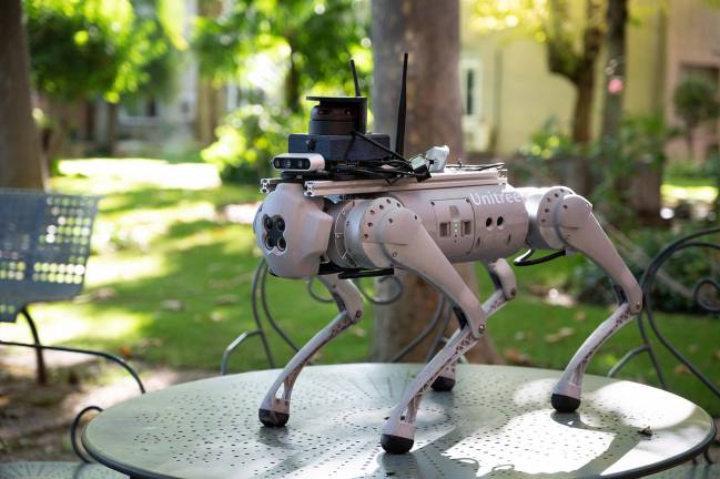El perro robótico Tefi, creado por investigadores del CSIC, está pensado para asistir a personas con discapacidad.