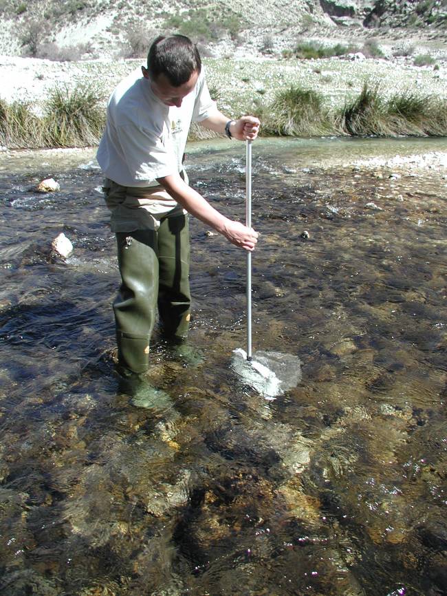 Los investigadores realizan un muestreo de macroinvertebrados para estudiar el estado ecologico de un rio.