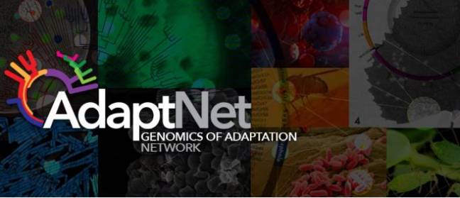 AdaptNET impulsará la colaboración de los equipos de investigación en el marco de la genómica evolutiva y potenciará la divulgación de sus avances a toda la sociedad.