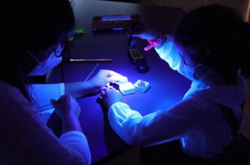 Examinando minerales bajo la luz ultravioleta