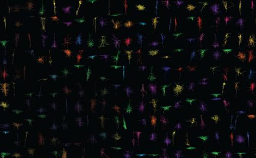 Representaciones tridimensionales de neuronas