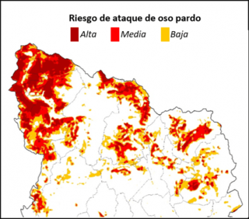 Los modelos de distribución han permitido identificar zonas donde el oso pardo podría atacar al ganado / Dani Villero