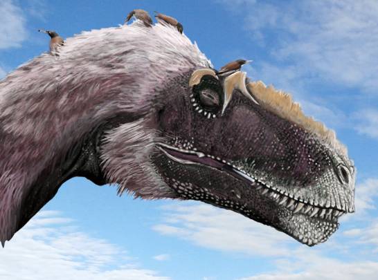Los dinosaurios encogieron durante 50 millones de años para llegar a aves