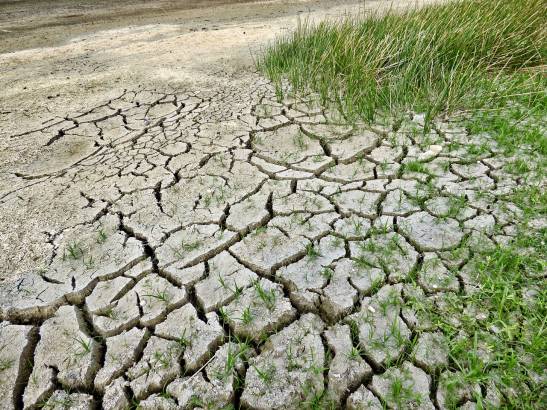 El cambio climático amenaza al Mediterráneo con sequías y disminución de la biodiversidad
