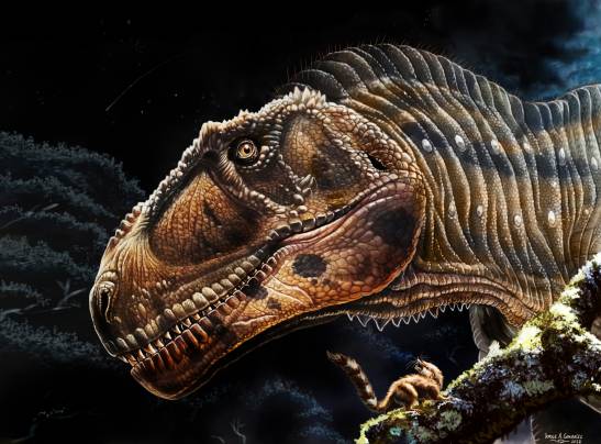 Así es 'Meraxes gigas', el gran devorador de dinosaurios con nombre de  dragón