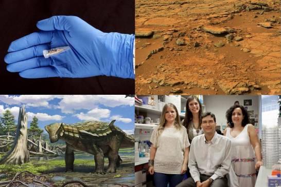 El ADN humano más antiguo, agua en Marte y otros logros de la ciencia española