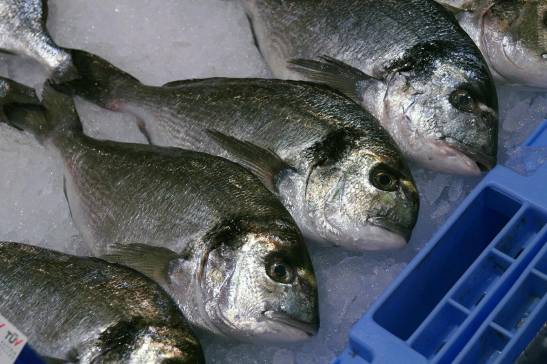 Questi sono i pesci più sicuri grazie ai loro bassi livelli di mercurio