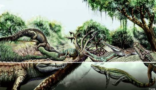Hace nueve millones de años en Sudamérica vivían 14 especies de cocodrilos