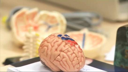 Un neuronavegador virtual para la investigación del cerebro