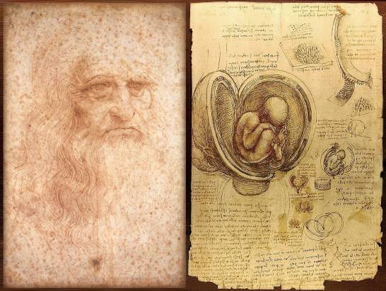 Cinco siglos sin Leonardo, el genio que dibujó las entrañas del cuerpo  humano