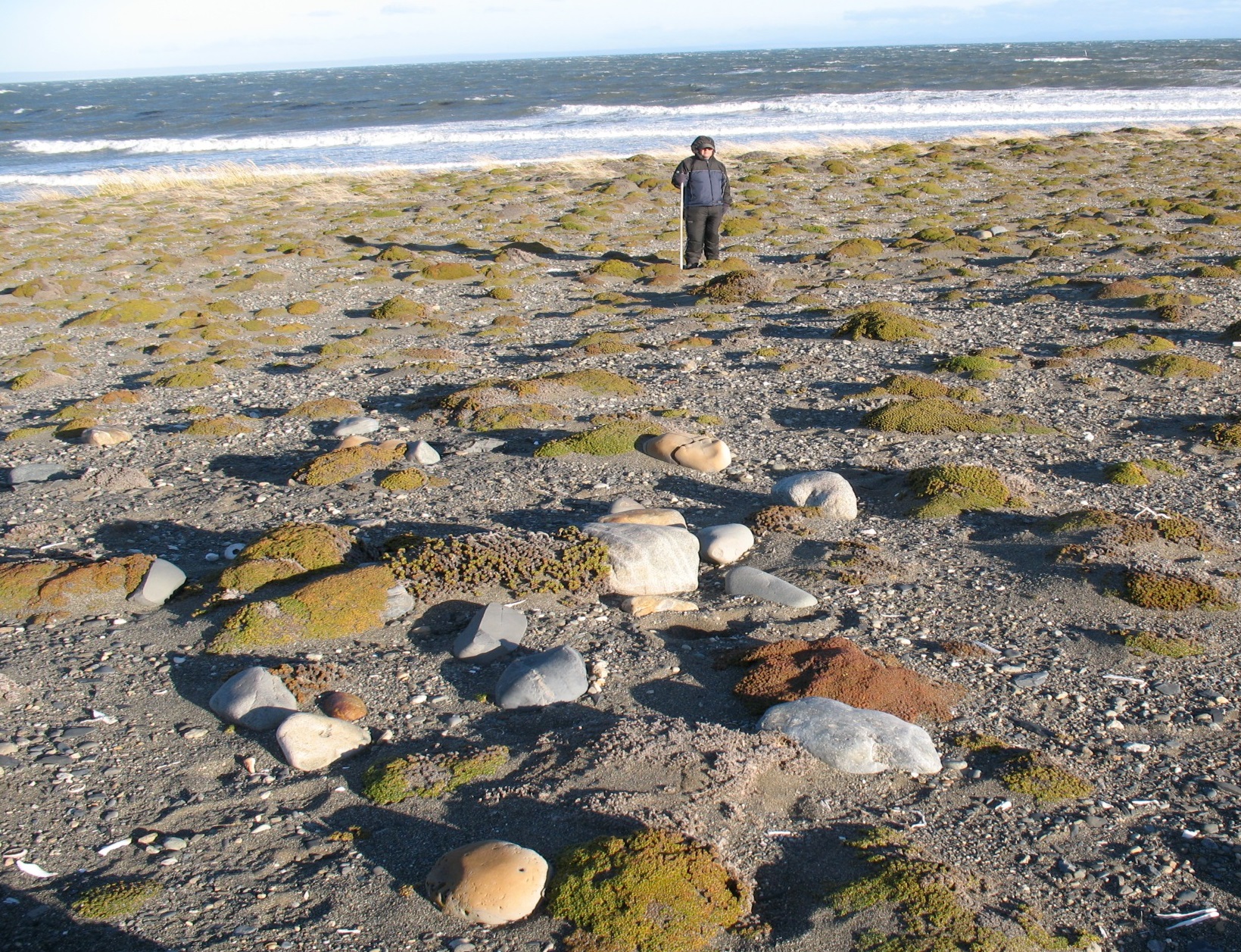 Lugar del hallazgo junto a la costa de la Bahía Inútil, Tierra del Fuego / Universidad de Magallanes